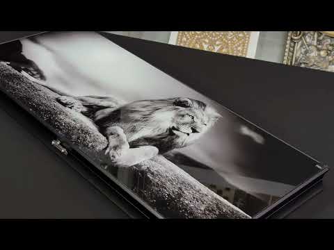 Нарды из стекла Лев 61×27×5см длинные нарды - фото 2 - id-p1467928264