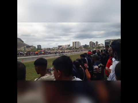 The Courts Mammouth Maiden Cup 2400mts ! Winner - Alshibaaa .