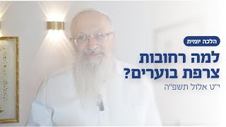 למה רחובות צרפת בוערים? | הרב שמואל אליהו | הלכה יומית | י״ט באלול תשפ״ה (הרב שמואל אליהו) - התמונה מוצגת ישירות מתוך אתר האינטרנט יוטיוב. זכויות היוצרים בתמונה שייכות ליוצרה. קישור קרדיט למקור התוכן נמצא בתוך דף הסרטון