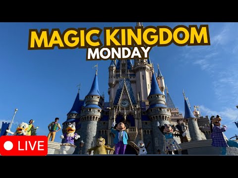 Live webcam of Disney Parks with Love