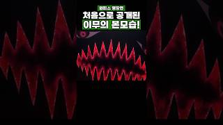 원피스) 처음으로 공개된 이무의 본모습! #원피스 #onepiece