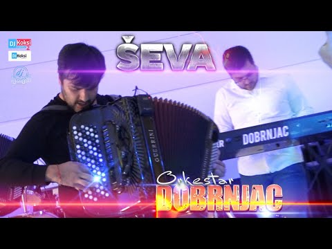 Orkestar DOBRNJAC & Prva Harmonika Sveta - Srdjan Dobrnjac U R A G A N  SEVA ! Cacak 2021
