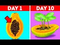 GROW YOUR SEEDS Garden Hacks