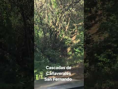 CAÑAVERALES SAN FERNANDO MORAZÁN 