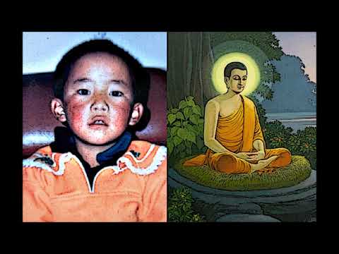 La storia in giallo - Il principe Siddharta (28/05/2005)