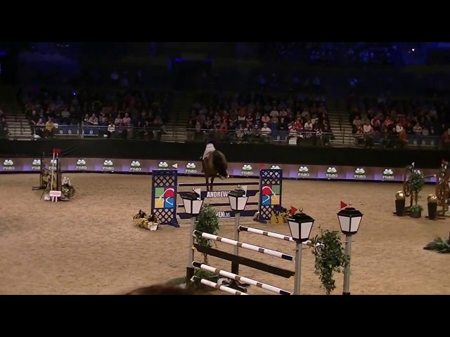 Full-sister of the mother is the CSI 1.60m jumping mare Bulena with rider Sanne Thijssen.