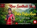 Paka Paka Aam 3 0 New Santhali Ai Cover Romantic Song 2026 Song