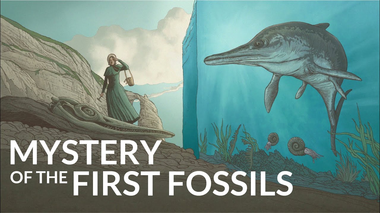 What is the Oldest Fossil on Earth?