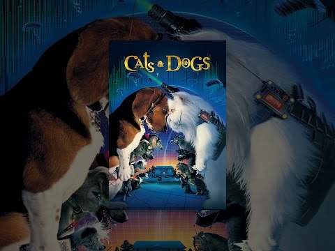 Cats & Dogs