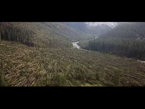 Val Visdende - 29 Ottobre 2018