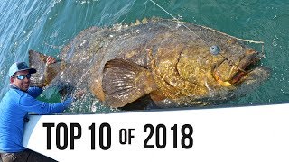 Top 10 Best Fishing Moments from 2018