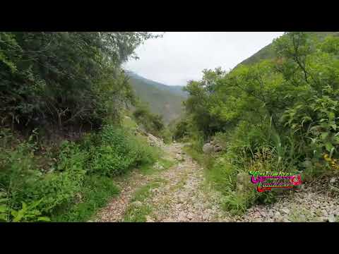 SANTA CECILIA DE CATAC huayno capitan