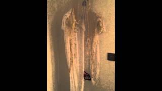 Sound activated ghost - lightning effects with sounds