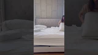 Cannot Get out of Bed in The Mornings | All Season Goose Down Feather Comforter