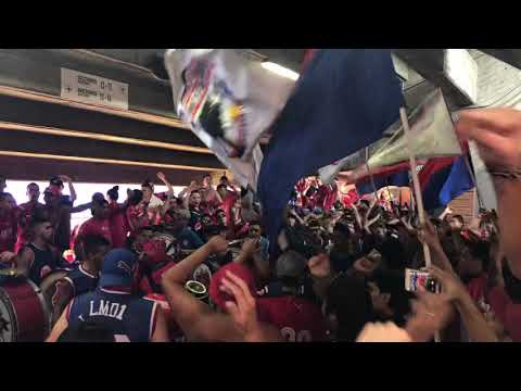 "Dicen que estamos locos de la cabeza" Barra: Rexixtenxia Norte &bull; Club: Independiente Medellín