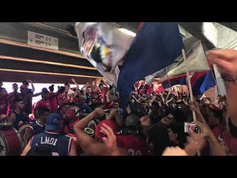 "Dicen que estamos locos de la cabeza" Barra: Rexixtenxia Norte • Club: Independiente Medellín