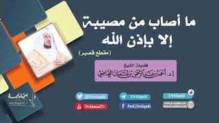 ما أصاب من مصيبة إلا بإذن الله  || أ.د. أحمد القاضي (مقطع قصير) image