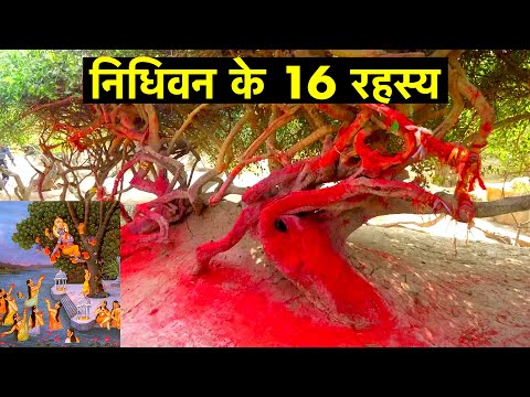 16 interesting facts about Nidhivan, Vrindavan | 16 secrets of Nidhivan | Best attraction of Vrin...