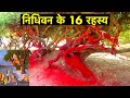 16 Interesting Facts About Nidhivan Vrindavan 16 Secrets Of Nidhivan Best Attraction Of Vrin