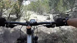 Stuttgart game and mountain bike trail