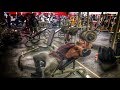 STANIMAL: Les Pecs de Noël au World Gym San Francisco