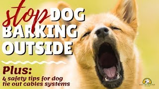 How to STOP dog barking when staked outside