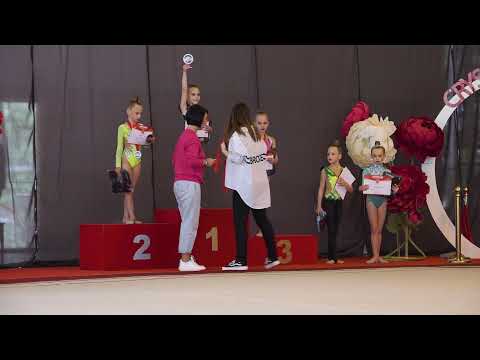 Парад нагородження гімнасток 2013 р. н.