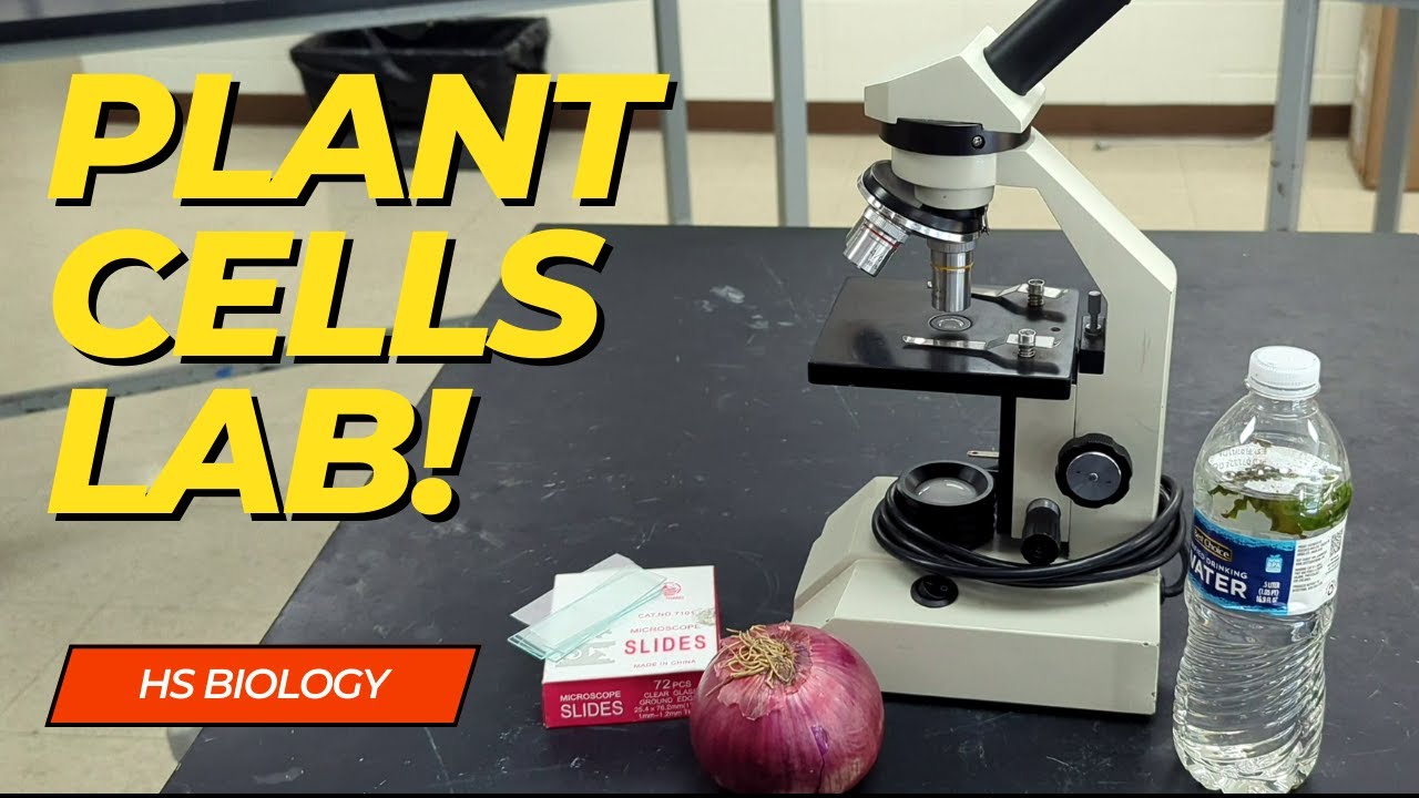 What do Plant Cells look like under the microscope.