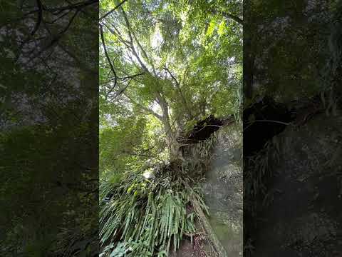Parque da gruta dos índios em Santa Cruz do Sul, Rio Grande do Sul, Brazil.