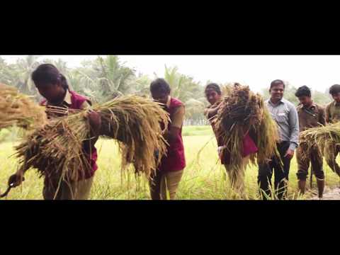 Karunya University General video thumbnail 7