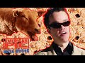 That Sick B Stard American Pie Presents Beta House