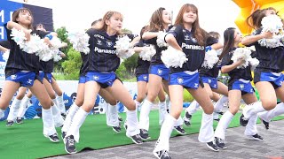 【チアリーディング】圧巻のパフォーマンスでMCの失敗を取り返すチア  #cheerleader