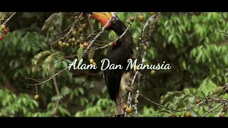 Download lagu Alam dan Manusia...(instrumen sape) mp3