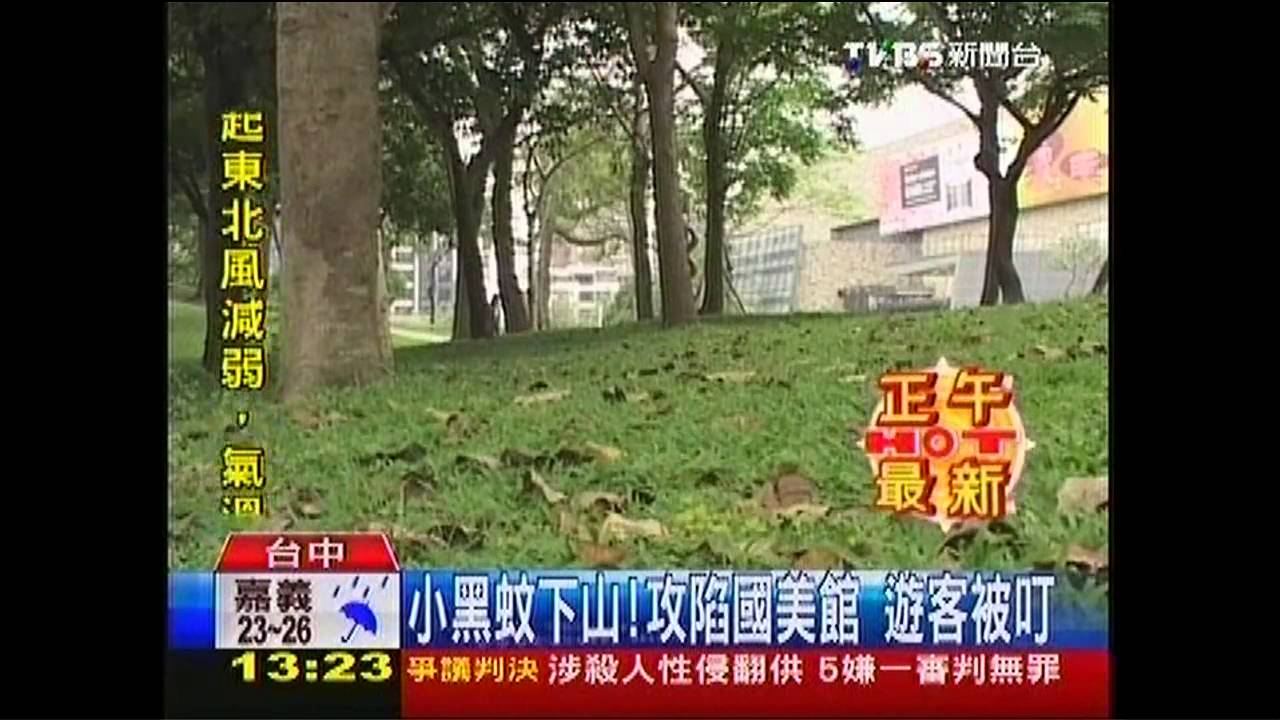 小黑蚊下山!攻陷國美館 遊客被叮