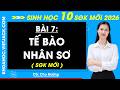 Bài 7. Tế bào nhân sơ