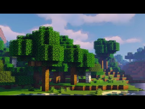 How did we end up here?...