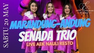 Download lagu senada trio (SENADA TRIO) ANDUNG ANDUNG live record aek resto mp3 Download lagu senada trio (SENADA TRIO) ANDUNG ANDUNG live record aek resto mp3