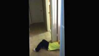 A little bit of murder