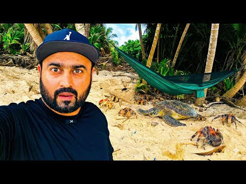 🦀 I Slept Next to GIANT Robber Crabs on Dolly Beach, Christmas Island. World’s Largest Land Crabs.