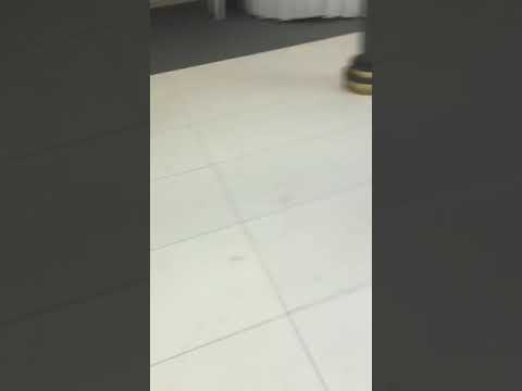 Stefan Constanța și Favorit Band 25.08.2019