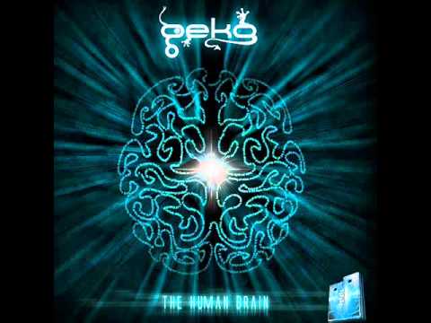 Geko - Pack of Menthol