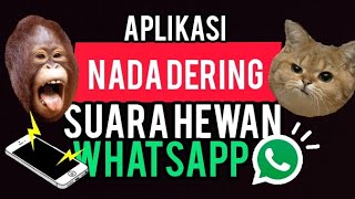 Download lagu CARA BIKIN NADA DERING SUARA HEWAN BUAT WHATSAAP❗❗ mp3 Download lagu CARA BIKIN NADA DERING SUARA HEWAN BUAT WHATSAAP❗❗ mp3