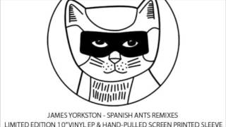 James Yorkston 'Spanish Ants (Zoon van snooK Remix)
