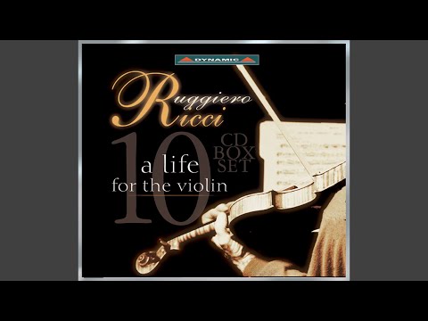 Violin Concerto in D Major, Op. 35, TH 59: II. Canzonetta: Andante