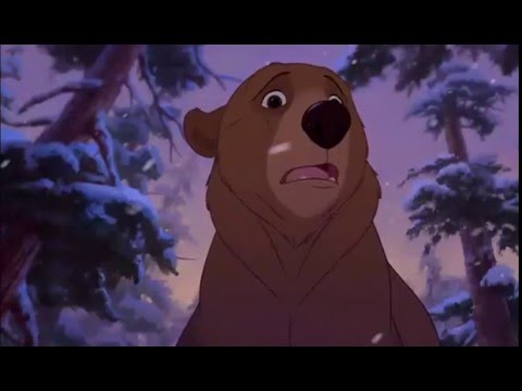 Koda Fratello Orso - Perdonami se puoi