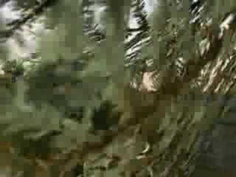 Deer Hunter: Bow Compound