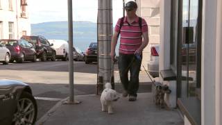 preview picture of video 'Frank & the dogs do Greencastle to Moville'