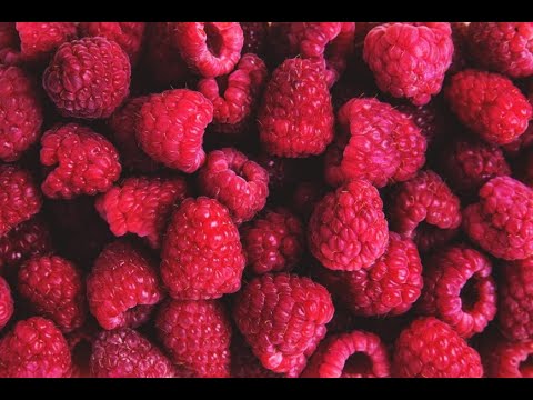 Raspberries 101-Nutrition and Health Benefits