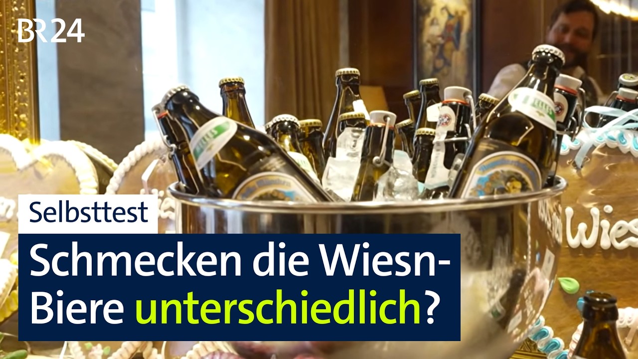 Schmecken die verschiedenen Oktoberfest-Biere tatsächlich unterschiedlich? | Abendschau | BR24