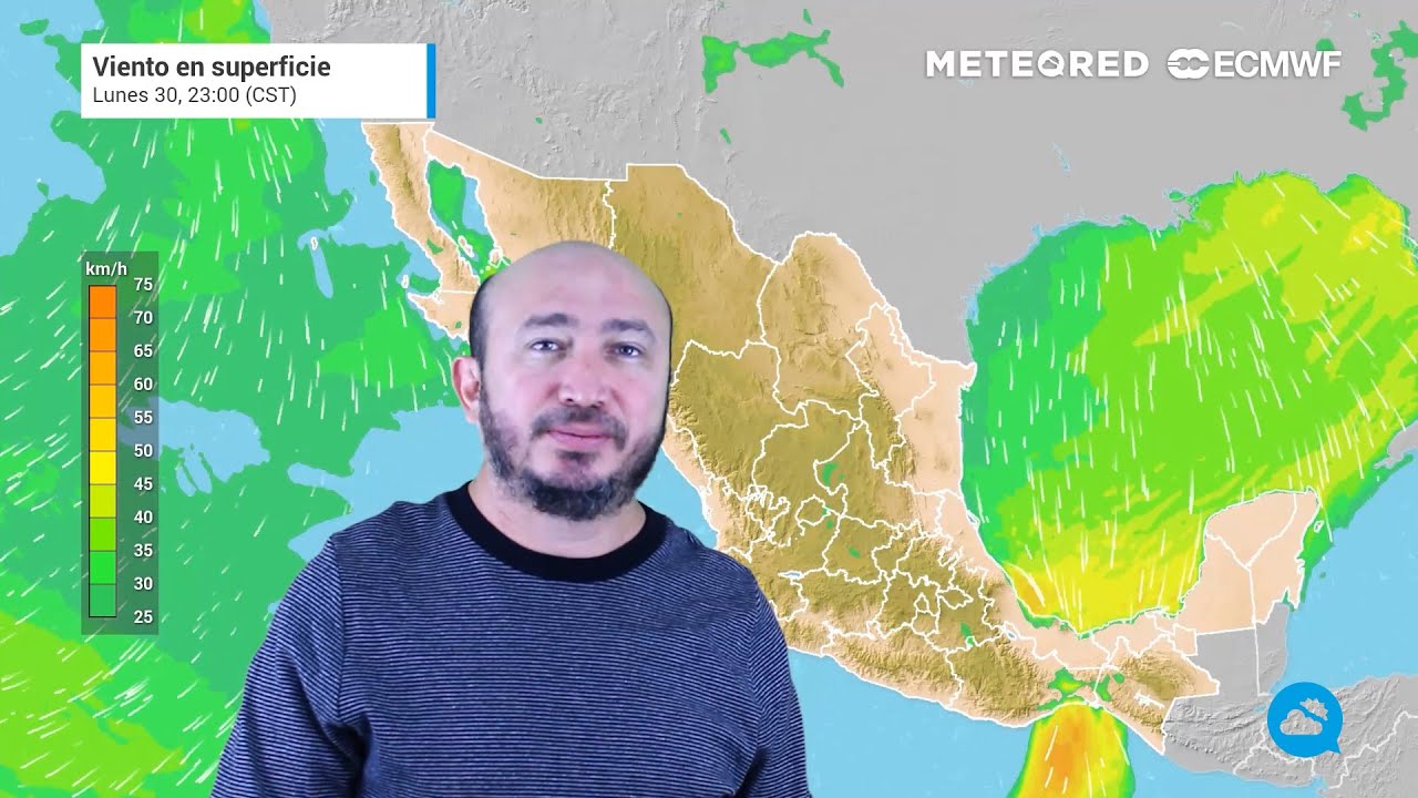 youtube video id=orBNcHcn6IE